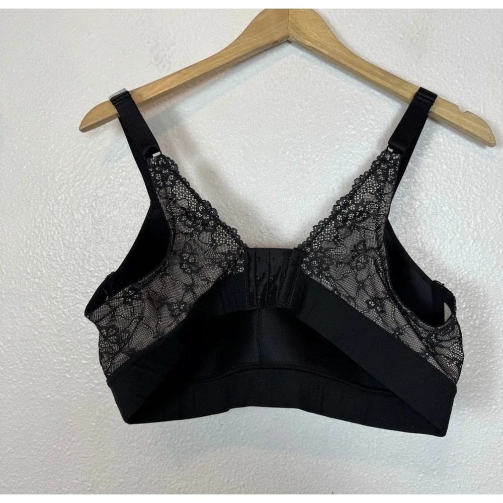 Felina new paramour